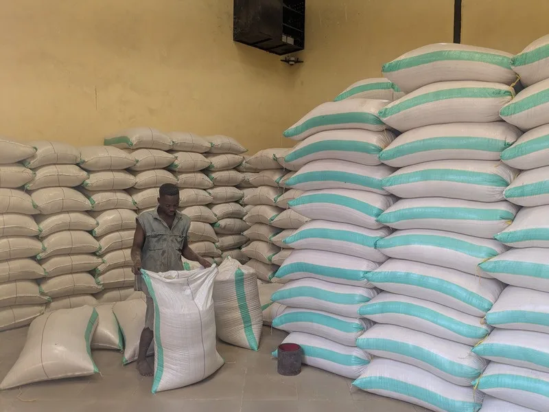 Sacks of rice stacked in the company warehouse