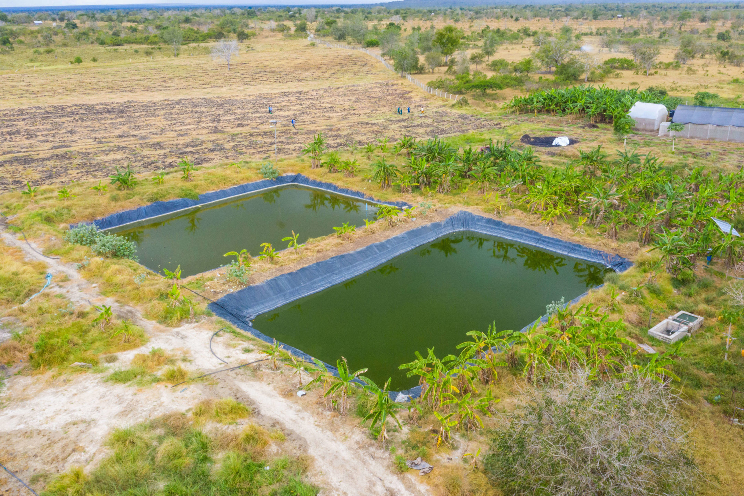 Aquaculture Products